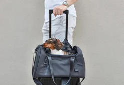 Miacara Volata Airline Pet Travel Carrier Bag