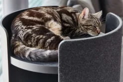 Modern Torre Cat Scratching Post With Cushion - Black