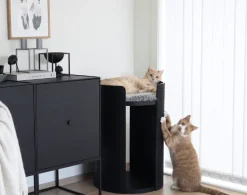 Modern Torre Cat Scratching Post With Cushion - Black