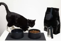 Mogo Dog Bowls & Food Storage Set