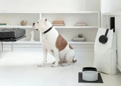 Mogo Non-Toxic Silicone Dog Bowl