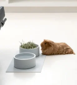 Mogo Non-Toxic Silicone Dog Bowl