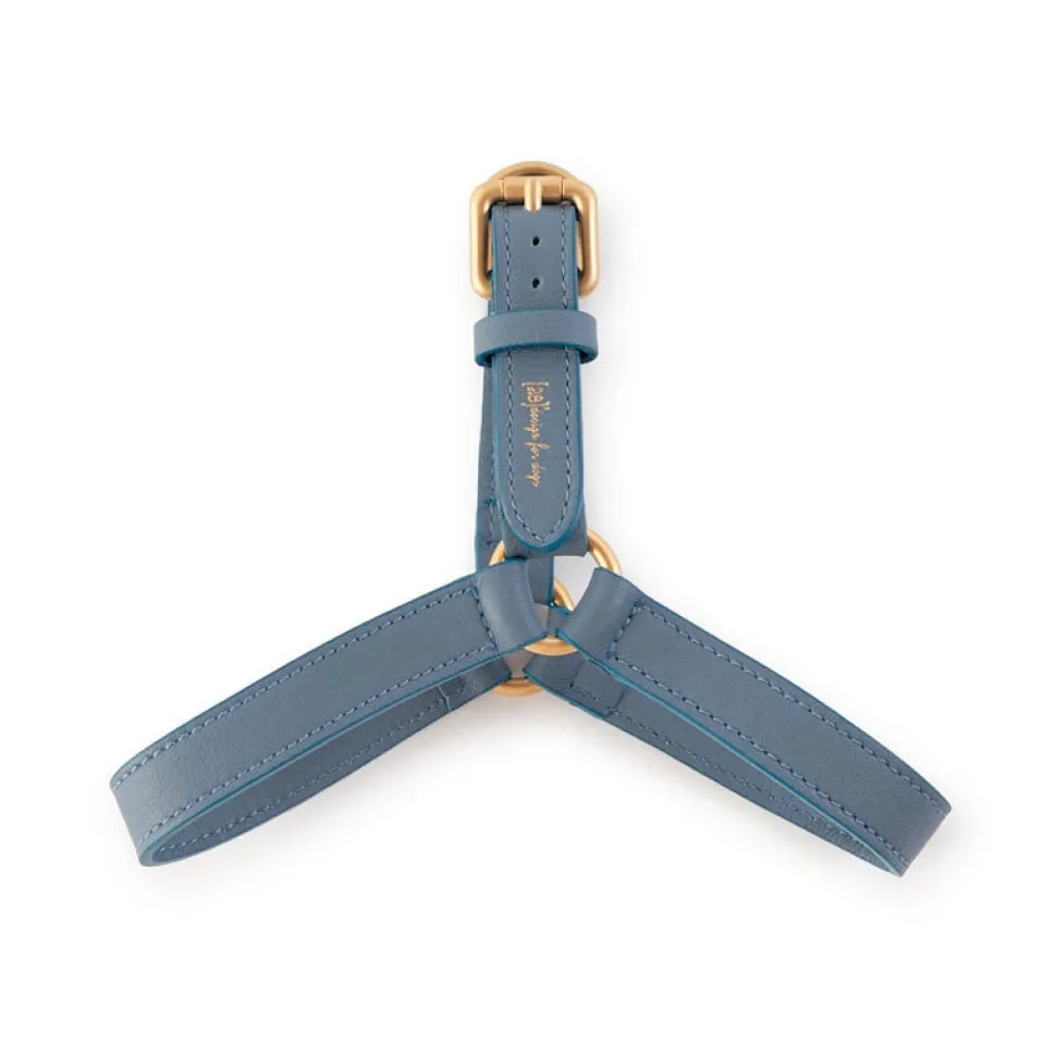 Nappa Leather Dog Harness For Medium Dogs