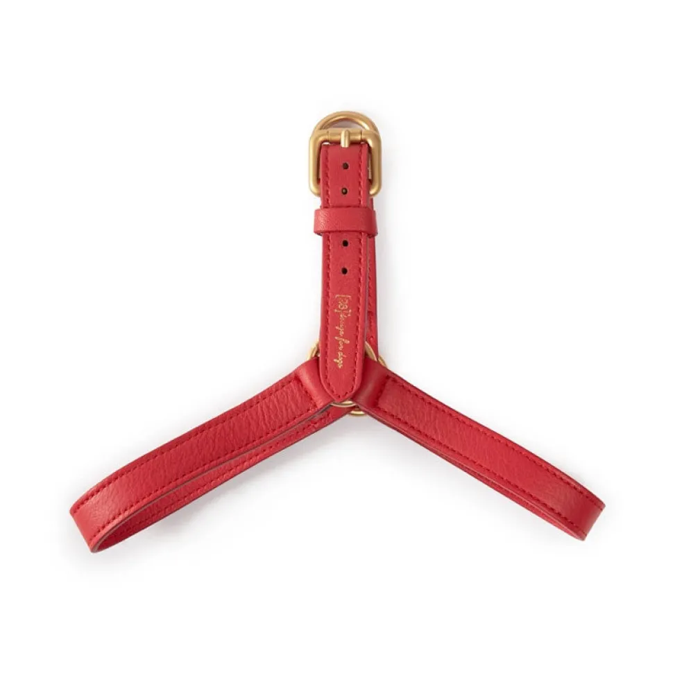 Nappa Leather Dog Harness For Medium Dogs