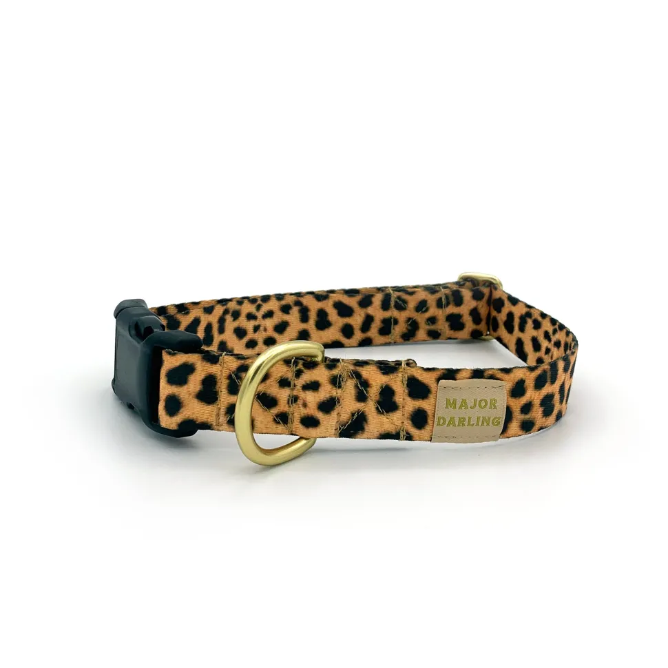 not-so-basic snap dog collar / leopard