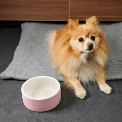 Paikka Ceramic Water Bowl for Dogs
