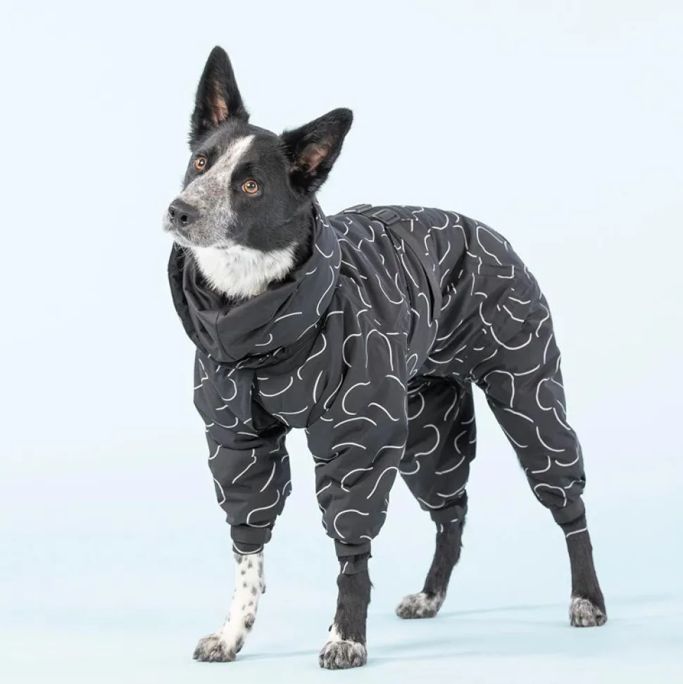 Paikka Dog Winter Suit Black