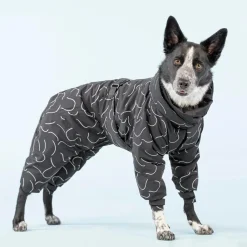 Paikka Dog Winter Suit Black