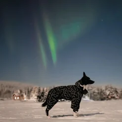 Paikka Dog Winter Suit Black