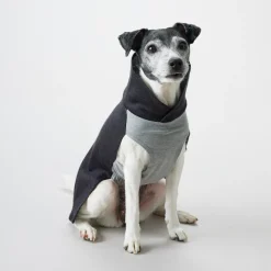 Paikka Recovery Winter Dog Shirt