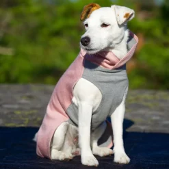 Paikka Recovery Winter Dog Shirt Pink