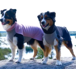 Paikka Recovery Winter Dog Shirt Pink