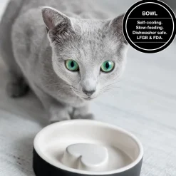 Paikka Slow Feeder Ceramic Pet Bowl
