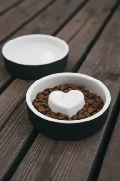 Paikka Slow Feeder Ceramic Pet Bowl