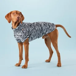 Paikka Sun & Insect Shield Dog Shirt