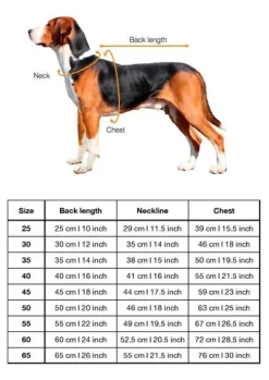 Paikka Sun & Insect Shield Dog Shirt