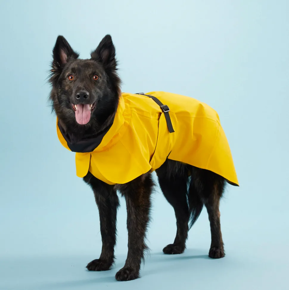 Paikka Visibility Dog Raincoat - Yellow