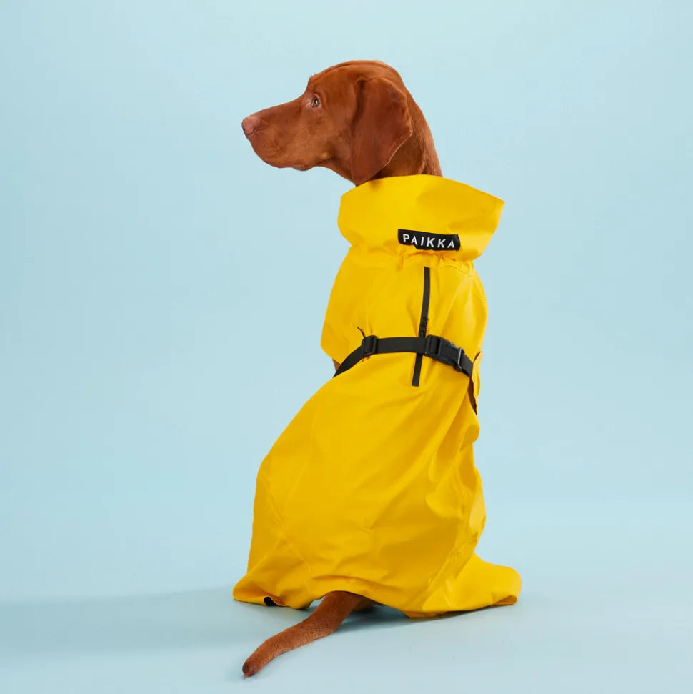 Paikka Visibility Dog Raincoat - Yellow