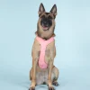 Paikka Visibility Large Dog Harness - Pink