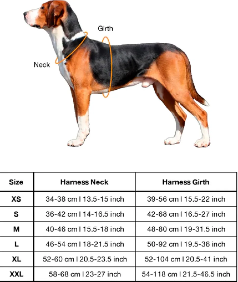 Paikka Visibility Large Dog Harness - Pink