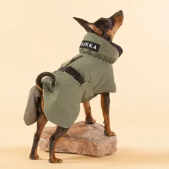 Paikka WaterProof Winter Dog Jacket - Green