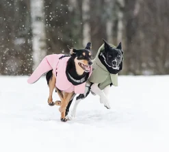 Paikka WaterProof Winter Dog Jacket - Green