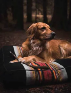 Pendleton Acadia National Park Pet Napper