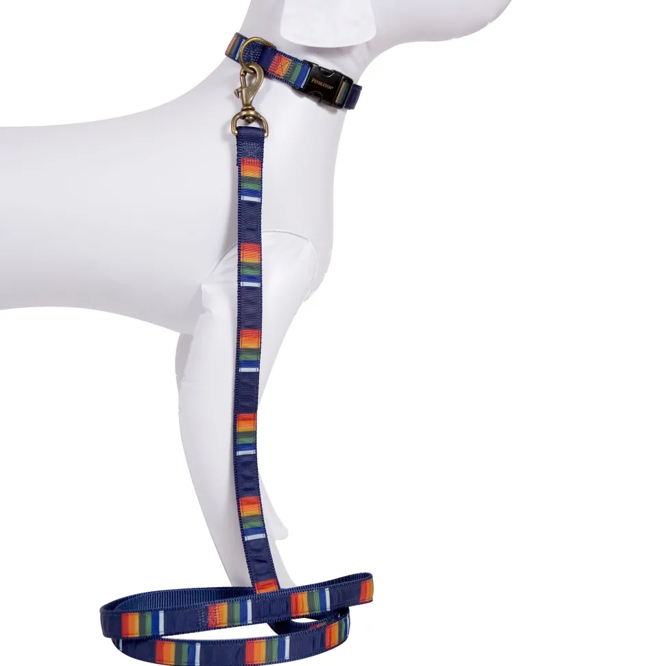 Pendleton Crater Lake National Park Hiker Dog Leash
