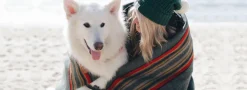 Pendleton Dog Coat Acadia National Park