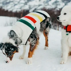 Pendleton Dog Coat Glacier National Park