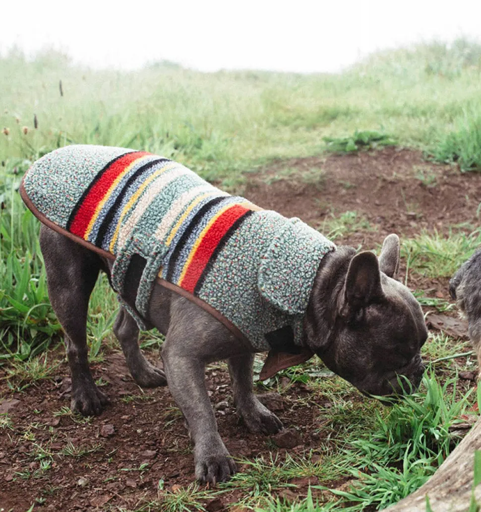 Pendleton Dog Coat Yakima Vintage Camp in Heather Green