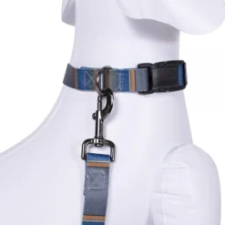 Pendleton Dog Collar Olympic National Park Adventure