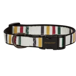 Pendleton Glacier National Park Hiker Dog Collar