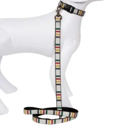 Pendleton Glacier National Park Hiker Dog Collar