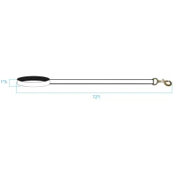 Pendleton Glacier National Park Hiker Dog Leash