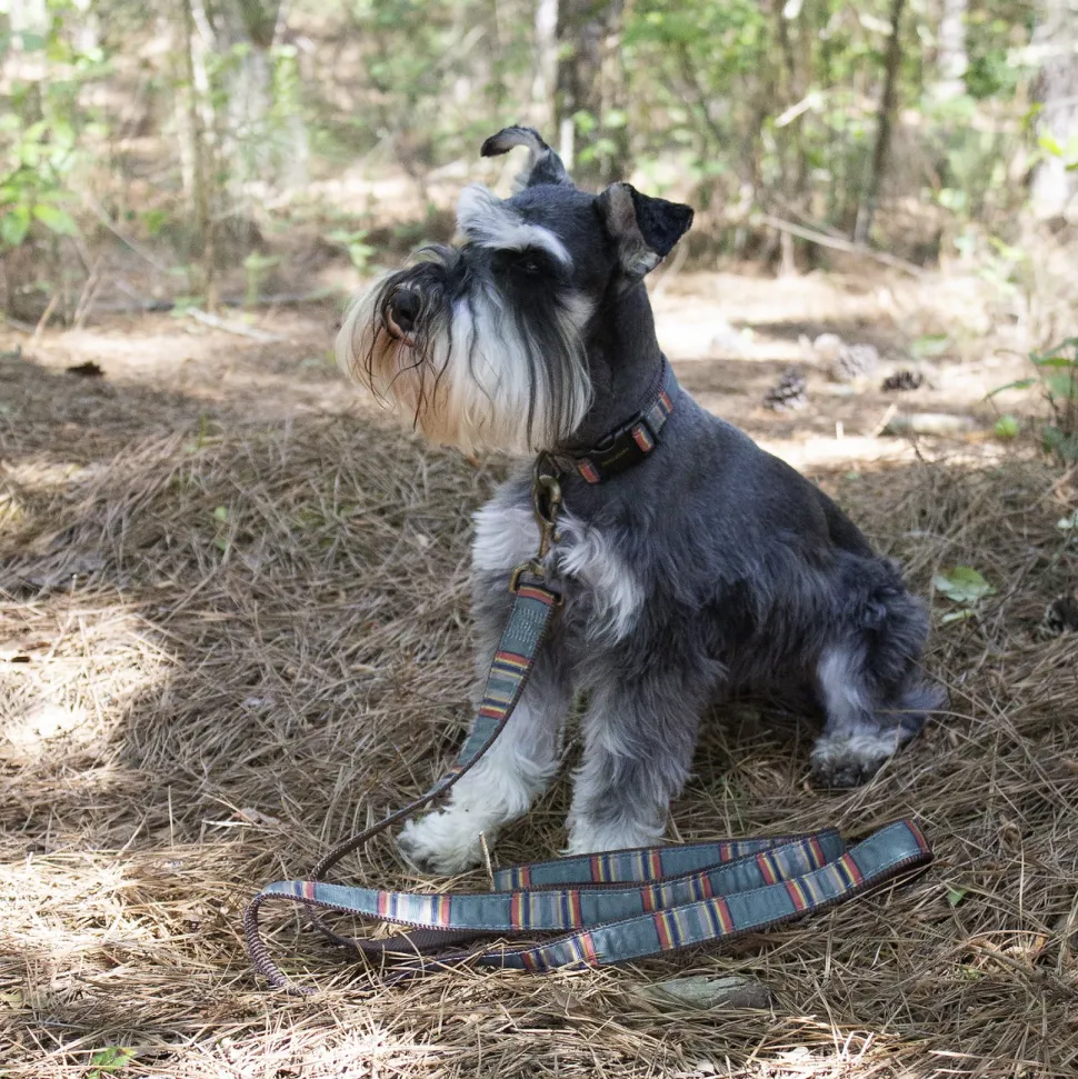 Pendleton Vintage Heather Green Hiker Collar