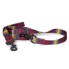 Pendleton Zion National Park Adventure Dog Leash