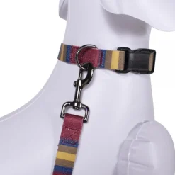 Pendleton Zion National Park Adventure Dog Collar