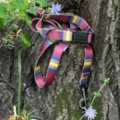 Pendleton Zion National Park Adventure Dog Leash