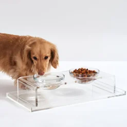 Pet Feeder with Glass Bowls, Acrylic Stand & Tray