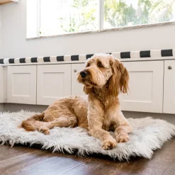Portable Orthopedic Travel Bed For Dogs