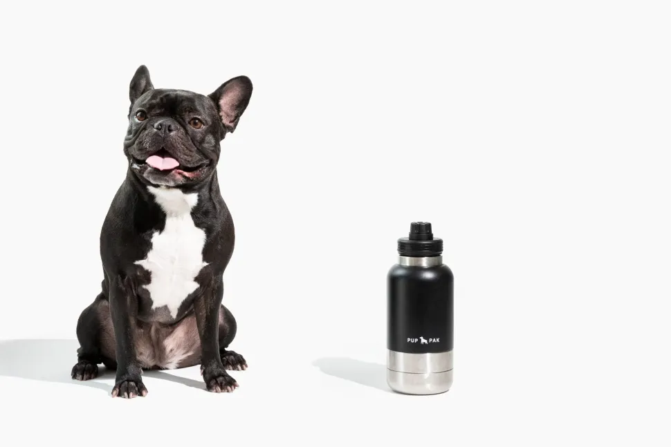 PupPak Dog Travel Water Bottle with Detachable Food & Water Bowls