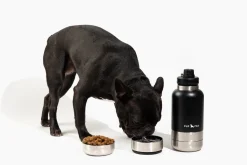 PupPak Dog Travel Water Bottle with Detachable Food & Water Bowls