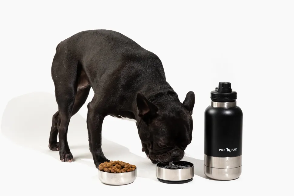 PupPak Dog Travel Water Bottle with Detachable Food & Water Bowls