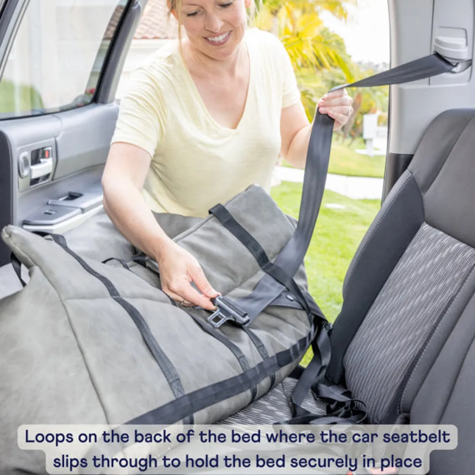 PupProtector dog booster car seat
