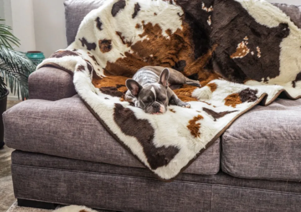 PupProtector Waterproof Dog Blanket - Options
