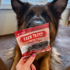 Puppy Packs 'N Snacks Dog Treat Starter