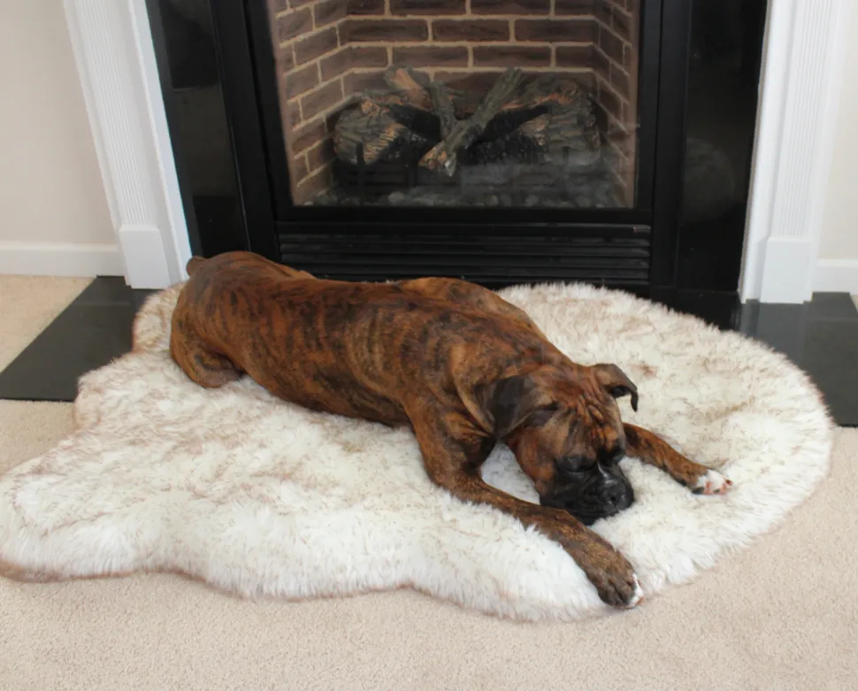 PupRug Faux Fur Orthopedic Dog Bed For Large To XL Dogs