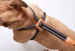 Ray Large Dog Harness by Boo Oh Green