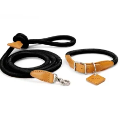 Ray Luxury Collar And Leash Set